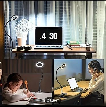 study lamp: Гибкая светодиодная лампа с прищепкой и USB-питанием - Тип — 2