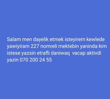 daye isi 2022: Dayəlik xidməti - Kewlədə yerləşir, 227 nömrəli məktəbin yaxınlığı -