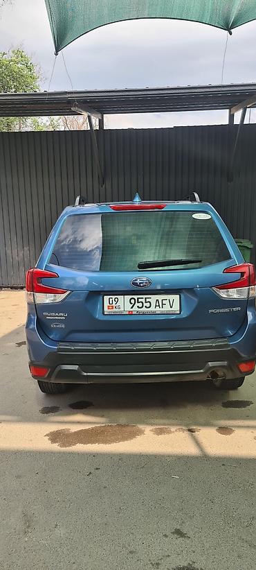 режим 17: Subaru Forester: 2019 г., 2.5 л, Вариатор, Бензин, Кроссовер — 3