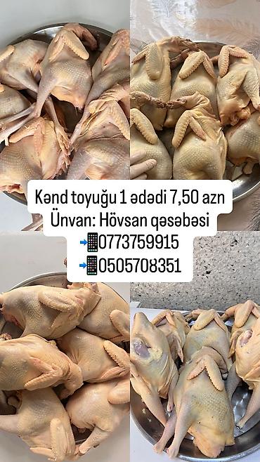 et xengeli: Kənd toyuğu Toyuq Bütöv, Pərakəndə, Ödənişli çatdırılma — 1