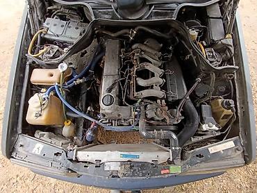 продаю кислородный балон: Mercedes-Benz W124: 1992 г., 2.9 л, Механика, Дизель, Универсал — 8