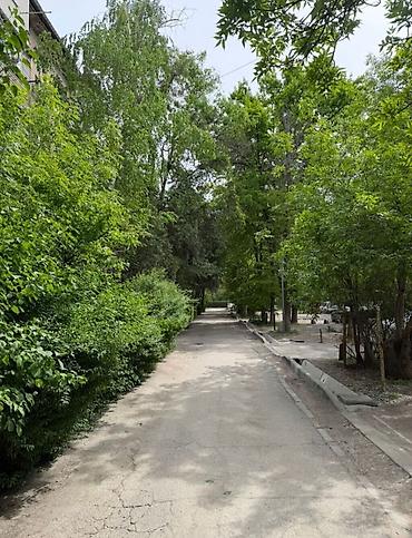 аренда квартир 5 мкр: 1 комната, 8 мкр Собственник, Парам без детей, от 1 года, С мебелью полностью — 8