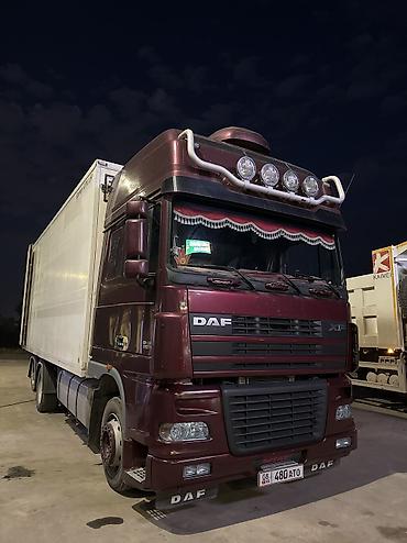 Тягачи: Тягач, DAF, 2006 г., Холодильник, рефрижератор — 12