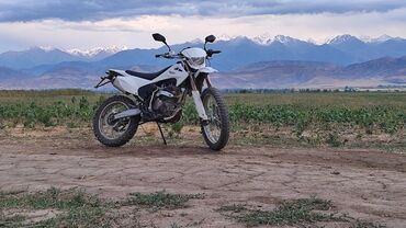 Мотоциклы: Эндуро Zongshen, 250 куб. см, Бензин, Взрослый, Б/у — 6