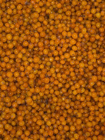 Turşular: Məhsul: Evdə hazırlanmış konservləşdirilmiş məhsullar və giləmeyvə - — 1