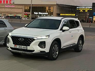 продаю дизельный мотоблок: Hyundai Santa Fe: 2019 г., 2 л, Автомат, Дизель, Кроссовер — 1