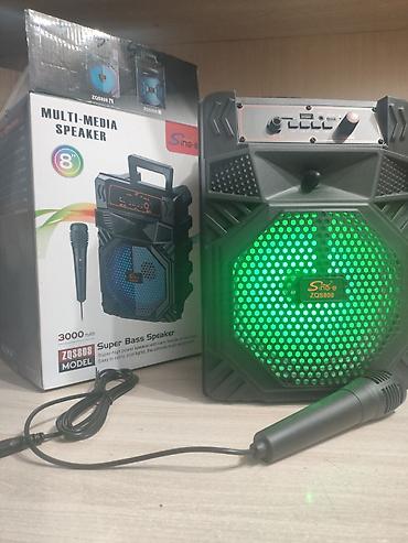 jbl original: Портативная акустика Sing-e ZQS808 с микрофоном - Формат — 2