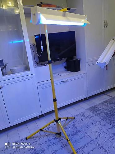 Медицинские лампы: Сдаю лампу от желтухи Philips. одинарные 250сом двойные 300сом — 5