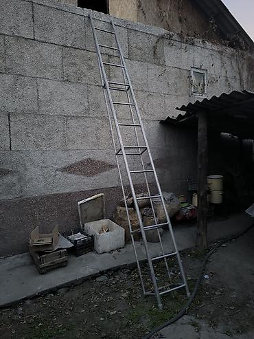 Дом и сад: Алюминиевая приставная лестница. Высота 5метров НОВОПАВЛОВКА - — 1