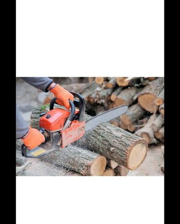 лимон дерево: 🌲 Профессиональное спиливание деревьев! 🌲 Опасные, старые или