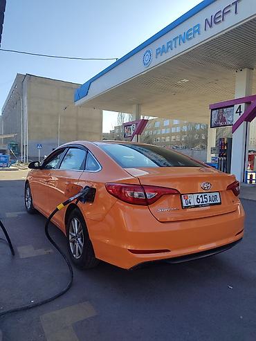 Hyundai: Hyundai Sonata: 2019 г., 2 л, Автомат, Газ, Седан — 9