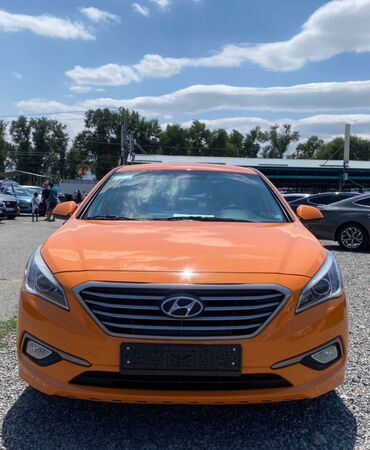 соната sonata: Hyundai Sonata: 2017 г., 2 л, Автомат, Газ, Седан