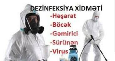 Təlim, kurslar: Dezinfeksiya, dezinseksiya | Taxtabiti, Birələr, Tarakanlar | Nəqliyyat, Ofislər, Mənzillər