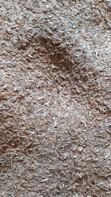 рисовый отрубь: ПРОДАЮ рисовые отруби в мешках Отруби состоят из 8-10% наружнего слоя