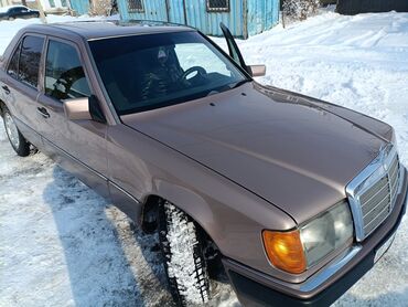 Mercedes-Benz: Mercedes-Benz 220: 1993 г., 2.2 л, Механика, Бензин, Седан