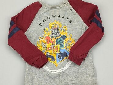 Sweatshirts: Sweatshirt, Harry Potter, 1.5-2 years, 86-92 cm, condition - Satisfying