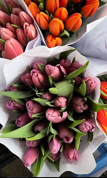 Букеты из живых цветов: 🌷 ТАКОЙ ЦЕНЫ В КЫРГЫЗСТАНЕ НЕТ 🌷 Голландские тюльпаны — 100 сом от 10 — 6