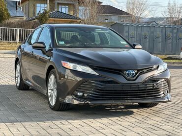 тайота пробох: Toyota Camry: 2019 г., 2.5 л, Вариатор, Гибрид, Седан