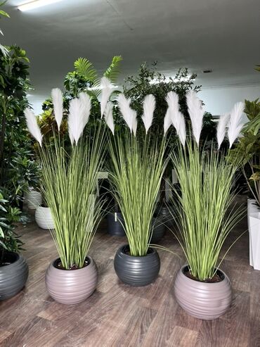 Декоративные цветы: Искусственные деревья — это идеальное решение для оформления интерьера at lalafo.kg — 13 Декоративные цветы: Искусственные деревья — это идеальное решение для оформления интерьера — 13