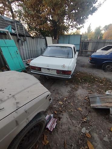 e55 amg w210: Mercedes-Benz W123: 1983 г. — 9