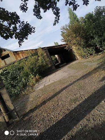 Продажа коттеджей и домов: Продаю дом. Село Беловодское, находится по улице Фрунзе 25. (Главная — 4