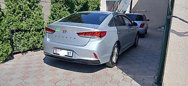 кия шума2: Hyundai Sonata: 2020 г., 2 л, Автомат, Газ, Седан — 5