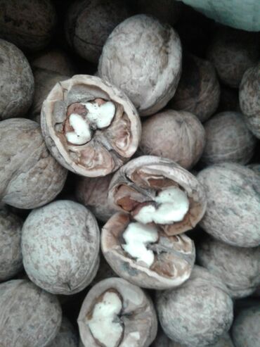 грецкие орехи цена бишкек: Продаю грецкий орех-40 кг. Урожай 2023года. Цена за 1 кг 80 сом. По