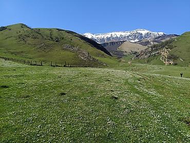 şirvanda torpaq: 105 sot, Kənd təsərrüfatı, Mülkiyyətçi, Kupça (Çıxarış) — 1
