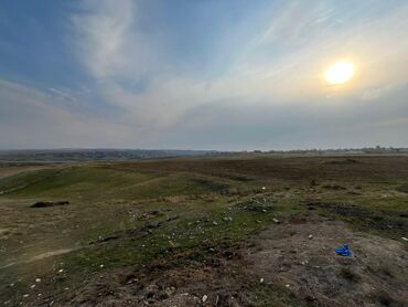 Torpaq sahələrinin satışı: Kənd təsərrüfatı — 17