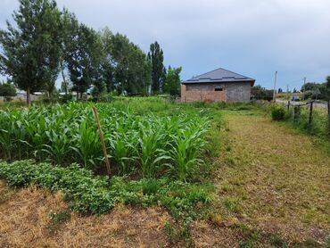 Продажа участков: 15 соток, Для строительства, Красная книга — 14