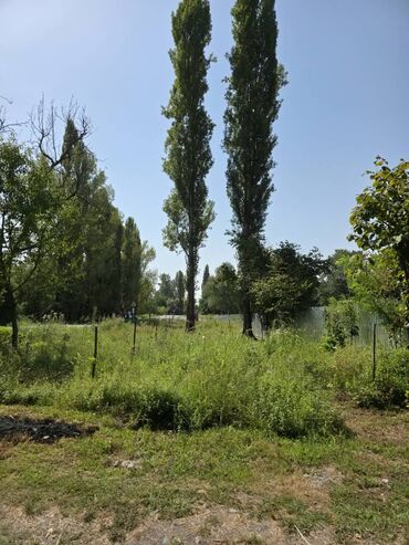 Torpaq sahələrinin satışı: 185 sot, Mülkiyyətçi, Kupça (Çıxarış) — 29