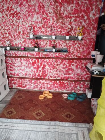 дом для кот: Гостиница для кошечек и маленьких собачек до 5 кг Предлагаем