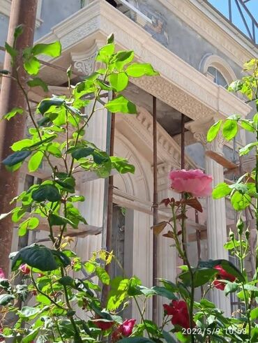 Fasad işləri: Fasad i̇şləri̇ni̇n professi̇onal şəki̇ldə i̇şlənməsi̇ — 12