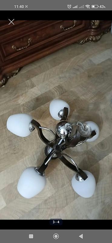 omid cilcıraq: Çılçıraq, 5 lampa, Metal — 1