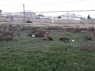 Torpaq sahələrinin satışı: 6 sot, Makler — 4