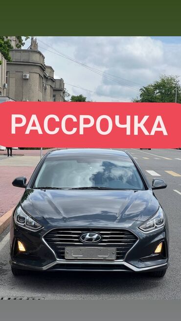 я 14: Hyundai Sonata: 2019 г., 2 л, Типтроник, Газ, Седан