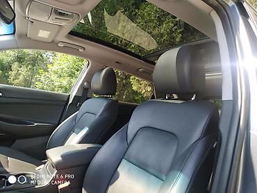 360: Hyundai Tucson: 2019 г., 2.4 л, Автомат, Бензин, Кроссовер — 6