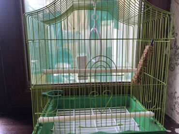 клетка для попугая деревянная: В клетке есть все кроме кормушки. попугая уже забрали клетка только
