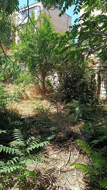 turan: 4 otaqlı, 125 kv. m, Kredit yoxdur, Orta təmir — 8
