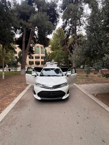 avto satış: Toyota Corolla: 1.5 l | 2019 il Universal