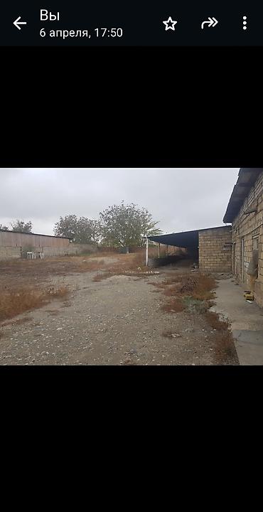 ferma satan: 16 sot, Biznes üçün, Mülkiyyətçi, Kupça (Çıxarış), Bələdiyyə — 5