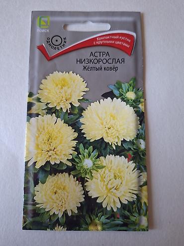 tut agaci calaq: Bağ toxumları dəsti – Astra nizkorosla və qərənfil (şabo pikoti) — 1