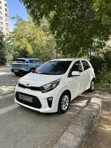 киа теллурайд: Kia Morning: 2019 г., 1 л, Автомат, Бензин