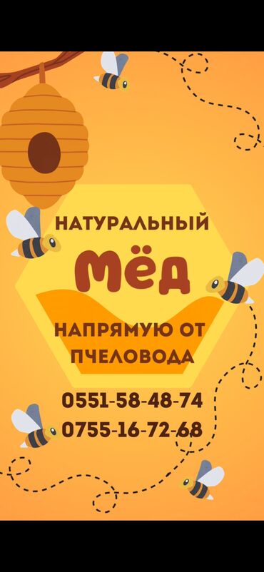 мёд цена за 1 кг 2022 бишкек: Продаём мёд.!