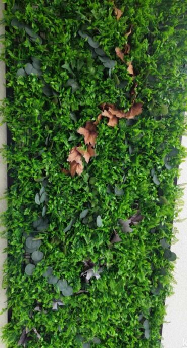 Baštenska dekoracija: Vestacko zelenilo, paneli i dodaci za ukrasavanje prostora, kuce — 3