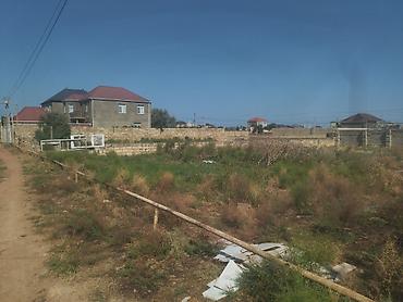 Torpaq sahələrinin satışı: Tikinti -da lalafo.az — 4 Torpaq sahələrinin satışı: Tikinti — 4