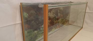 akvarumlar: Akvarium 12 lik şüşə ilə hazırlanıb.Uzunluq:110sm.Eni: 32sm.Hündürlük — 1