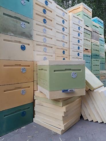 Другие с/х животные: Ульи для пчёл Преимущества ППУ ульев Пенополиуретан (ППУ) -Это — 17