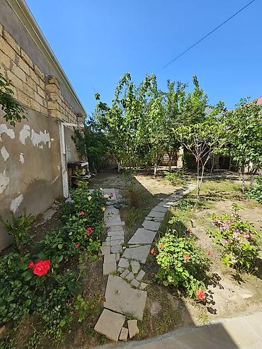 dasinmaz emlak agstafa: 4 otaqlı, 160 kv. m, Kredit yoxdur, Yeni təmirli — 5