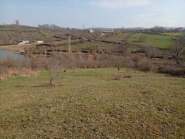 kiraye yolu ile satilan evler: 30 sot, Kənd təsərrüfatı, Mülkiyyətçi — 4